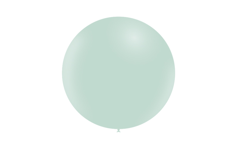 Bag 10 MATTE balloons 23'' (60-185cm) Green t05