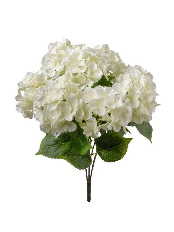 ORTENSIE BUSH 50CM WHITE