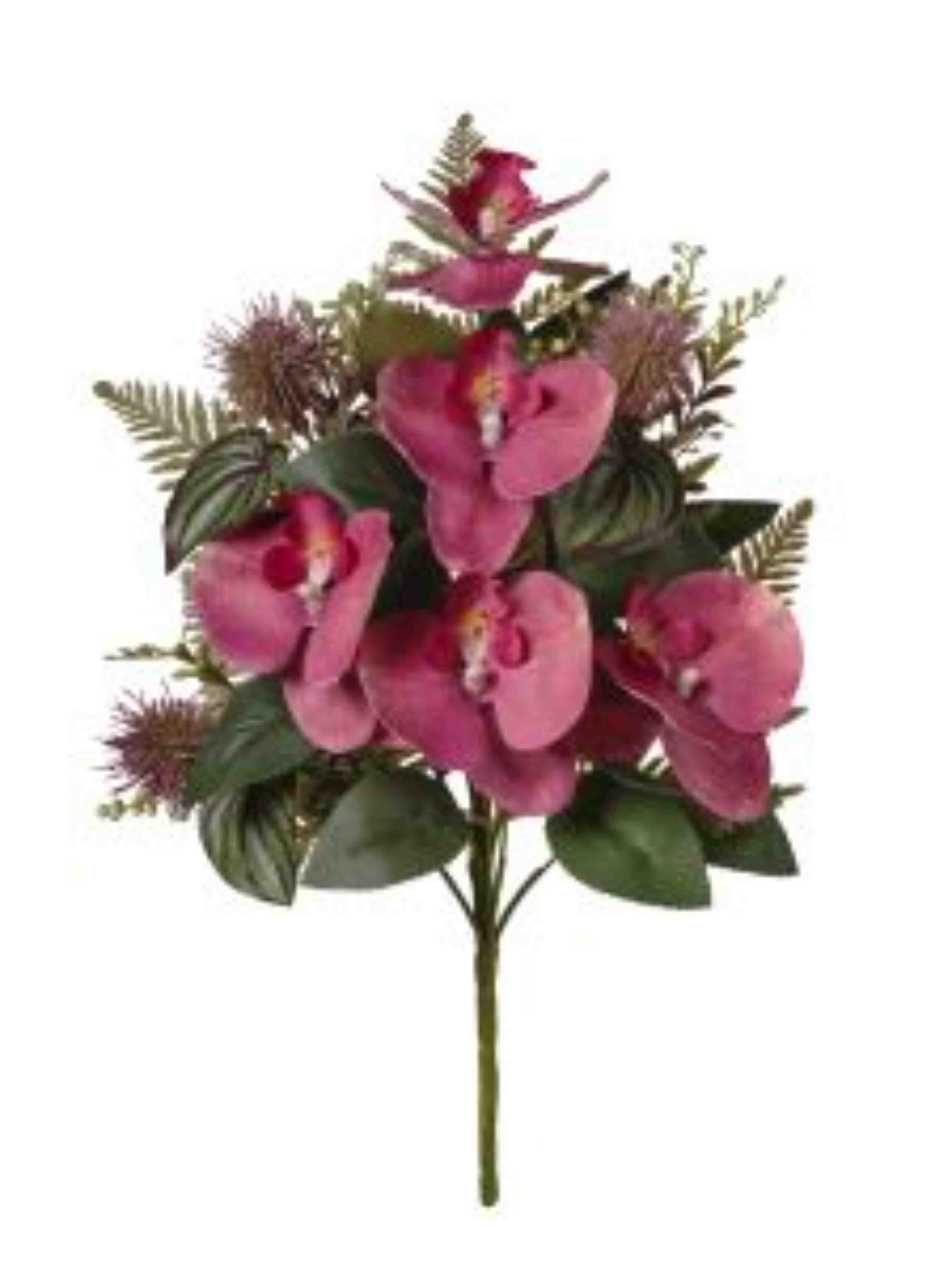 MAZZO FRONTALE ORCHIDEE CM42 FLAME