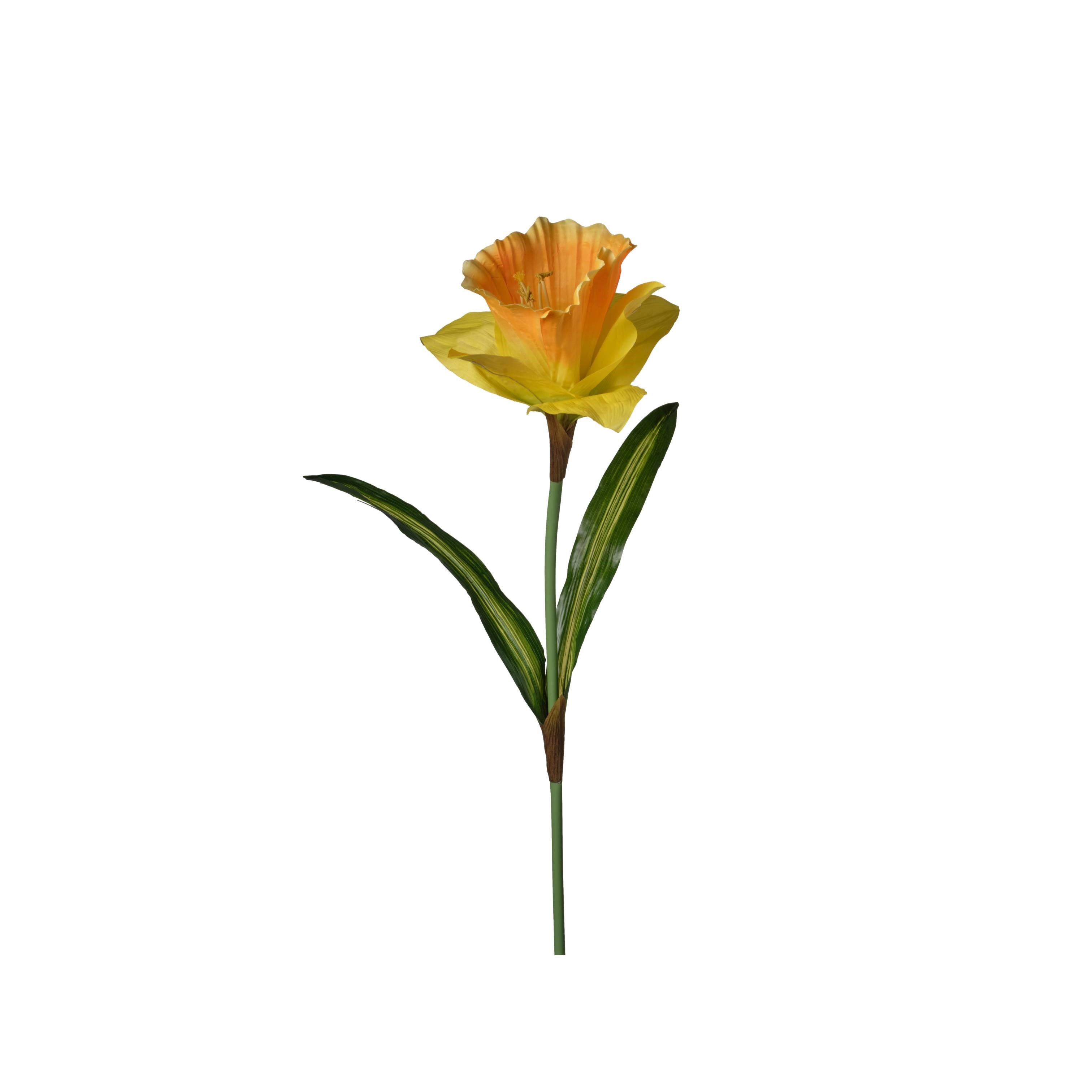 RAMO NARCISO 110CM D40 ORANGE