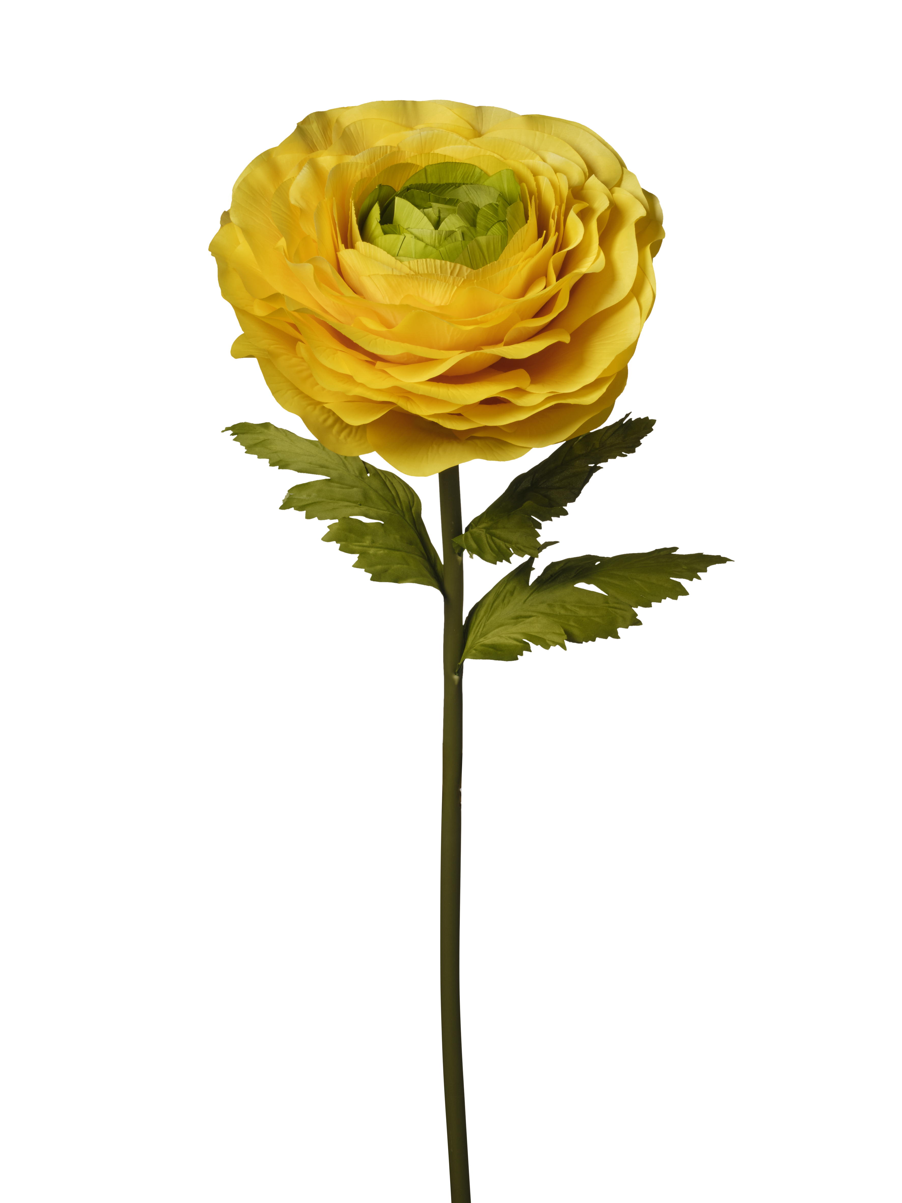 RAMO RANUNCOLO 138CM YELLOW