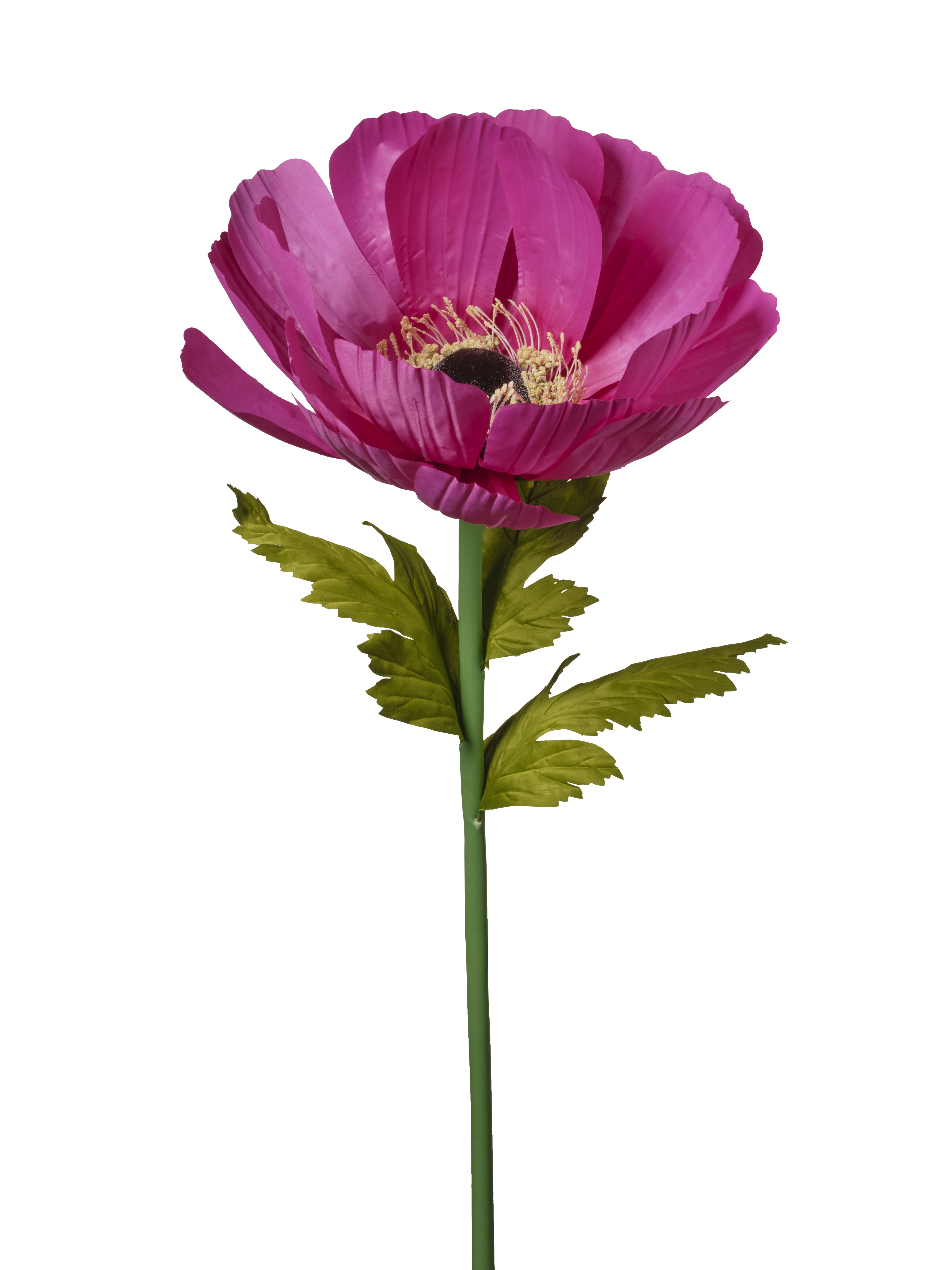 RAMO ANEMONE 128CM BEAUTY