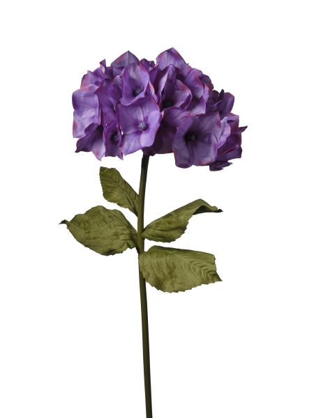RAMO ORTENSIA VIOLA H120 D50