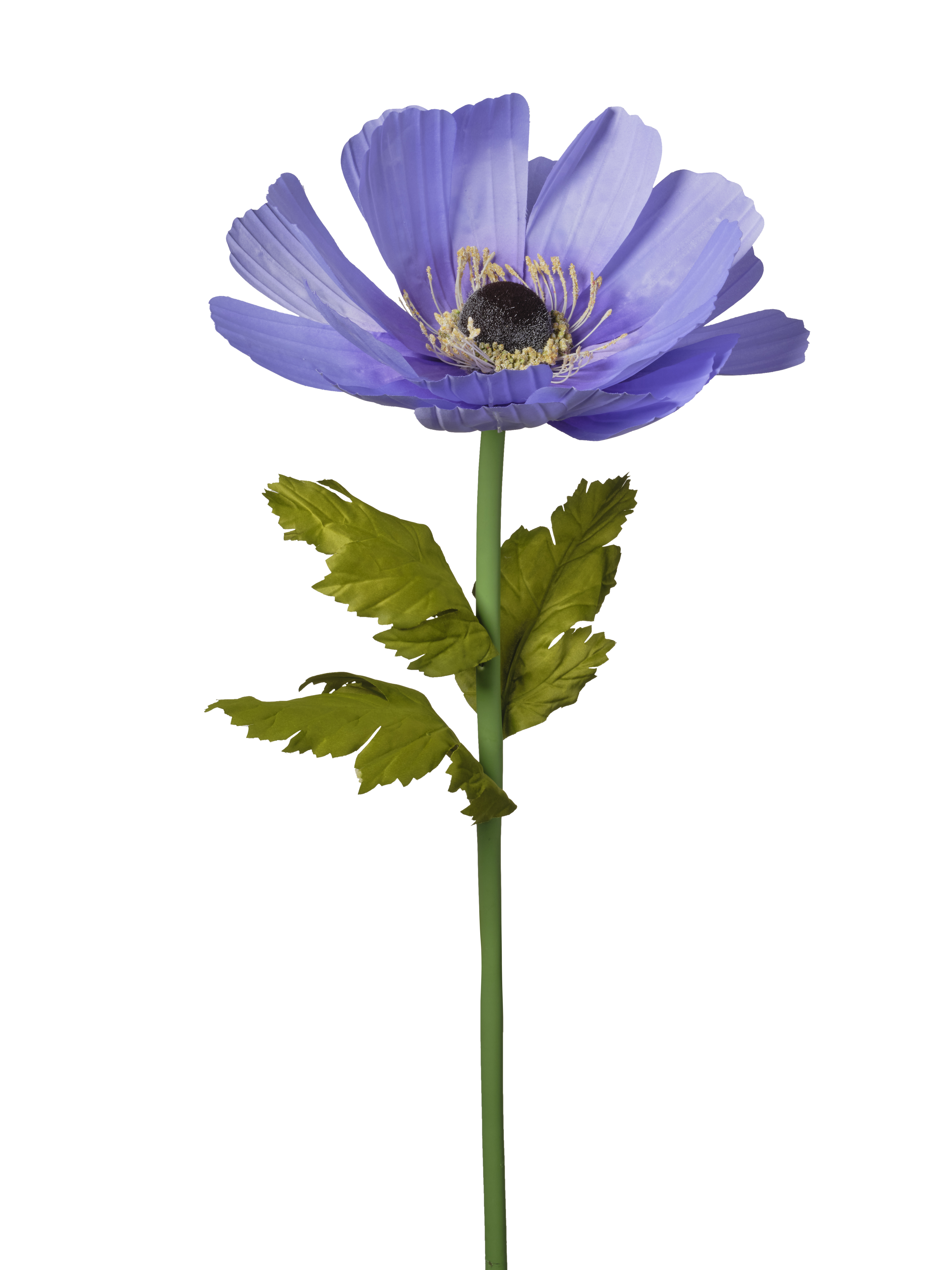 RAMO ANEMONE 105CM LAVANDER