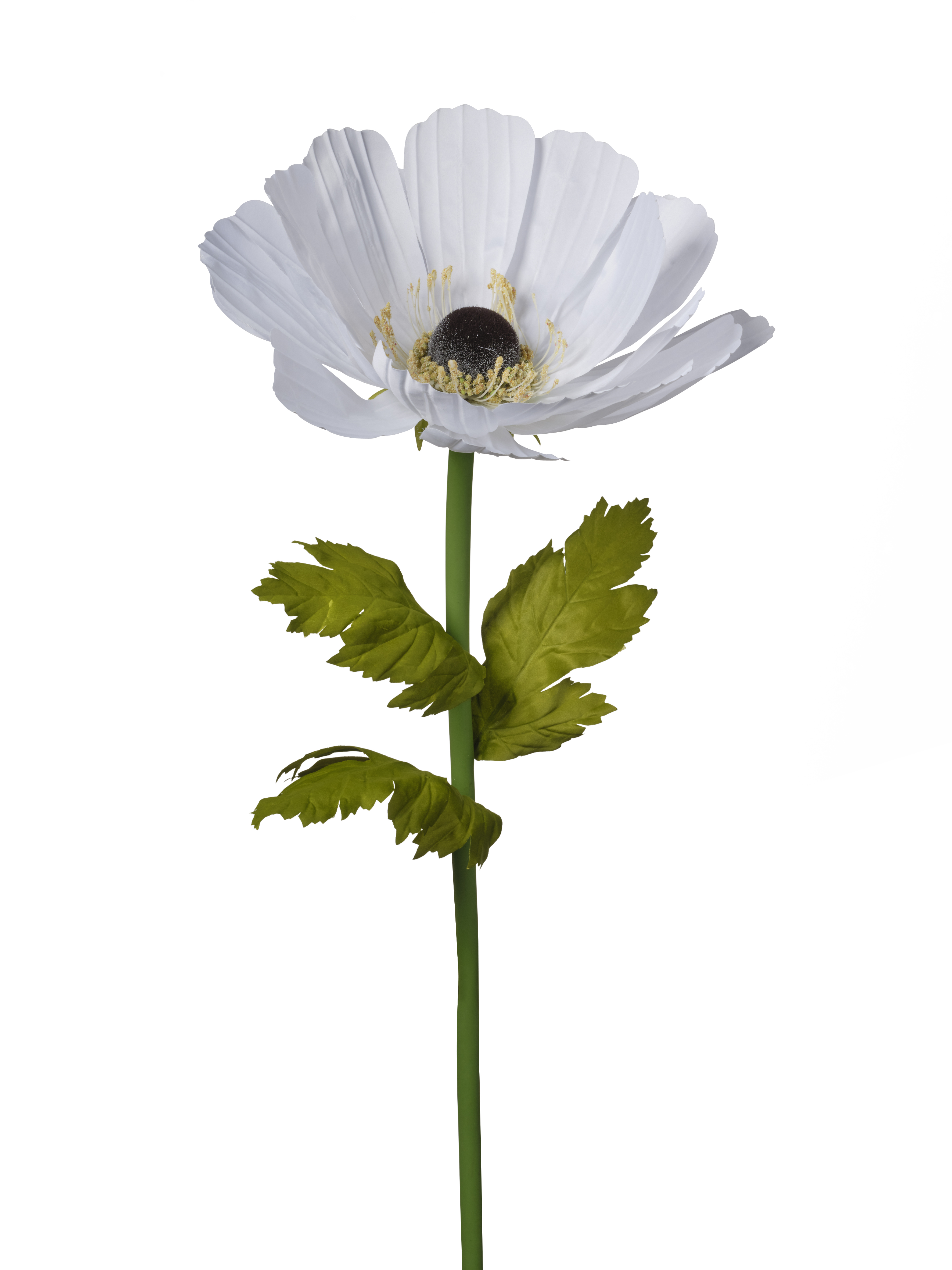 RAMO ANEMONE 105CM WHITE