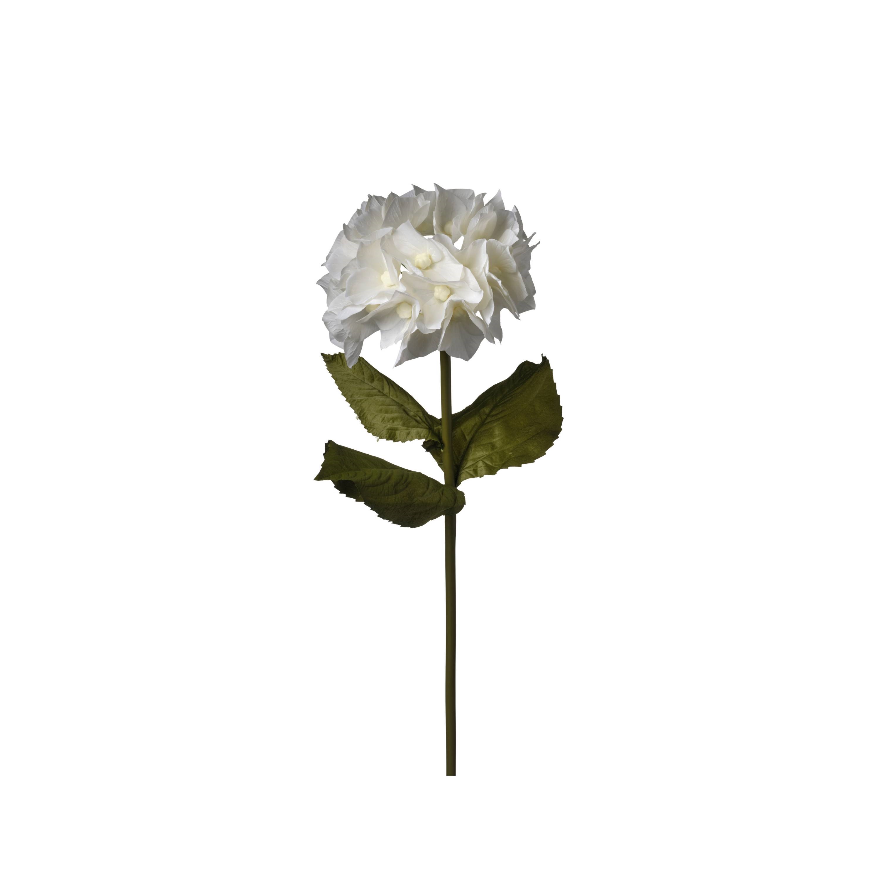 RAMO ORTENSIA H100 D38 WHITE