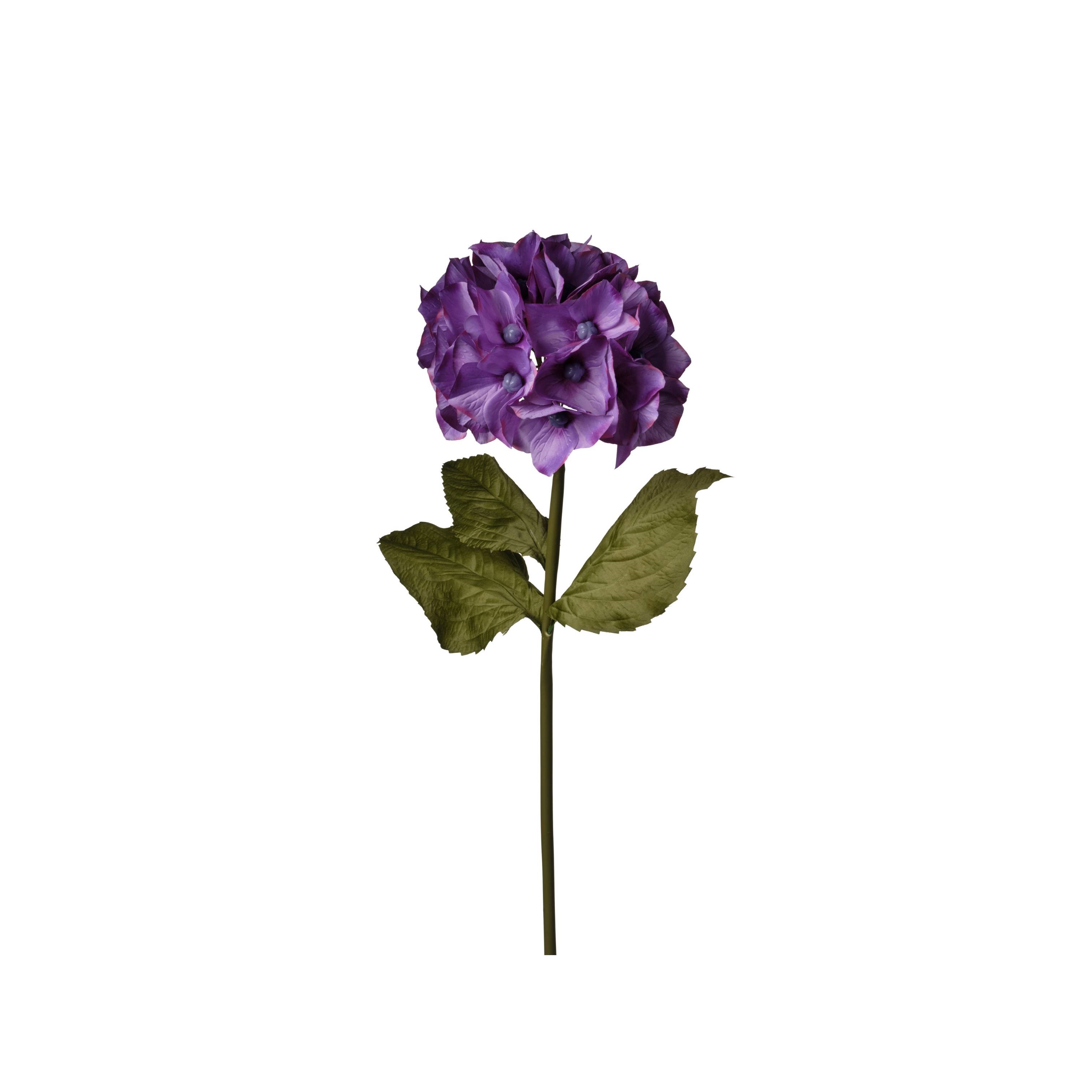 RAMO ORTENSIA H100 D38 VIOLA