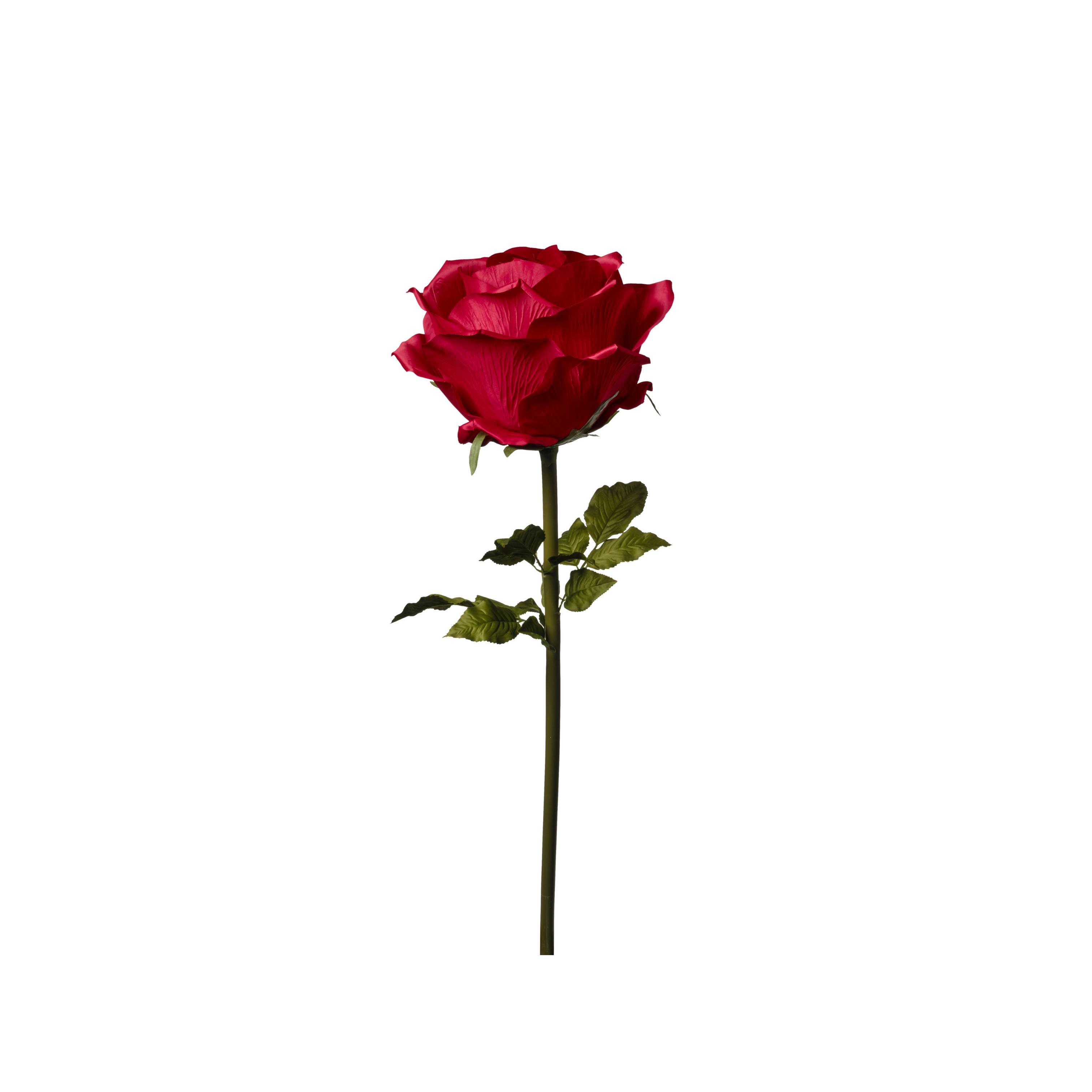 RAMO ROSA H128CM D40 RED
