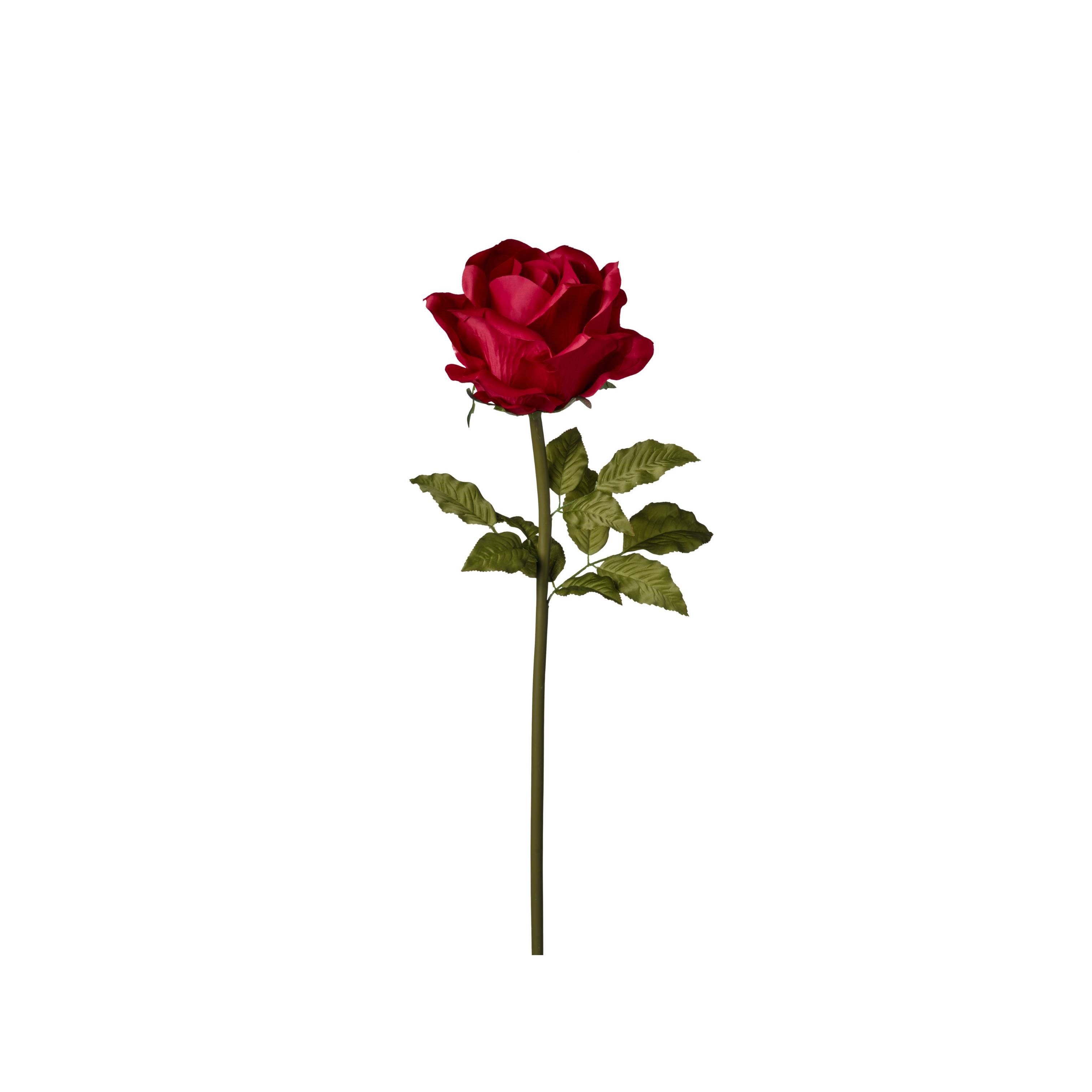 RAMO ROSA H108CM D28 RED