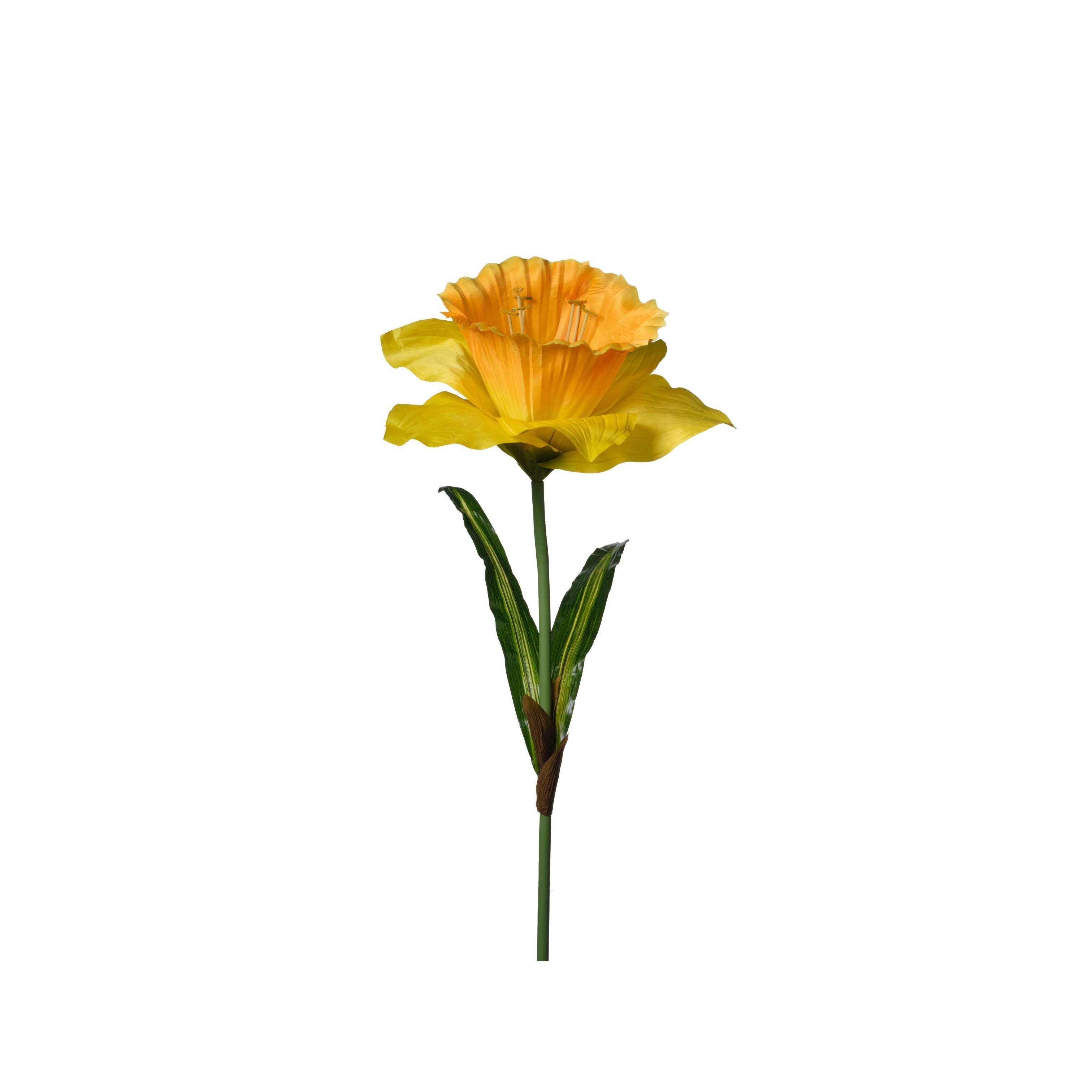 RAMO NARCISO 135CM D60 ORANGE