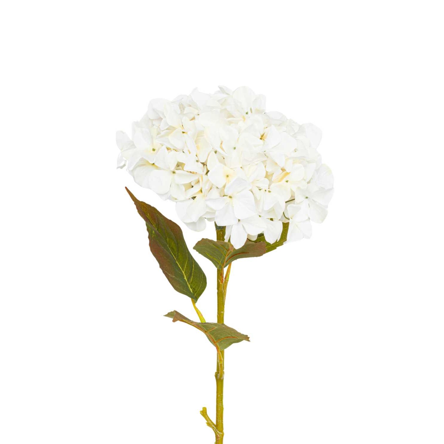 RAMO ORTENSIA CM. 109 CREAM