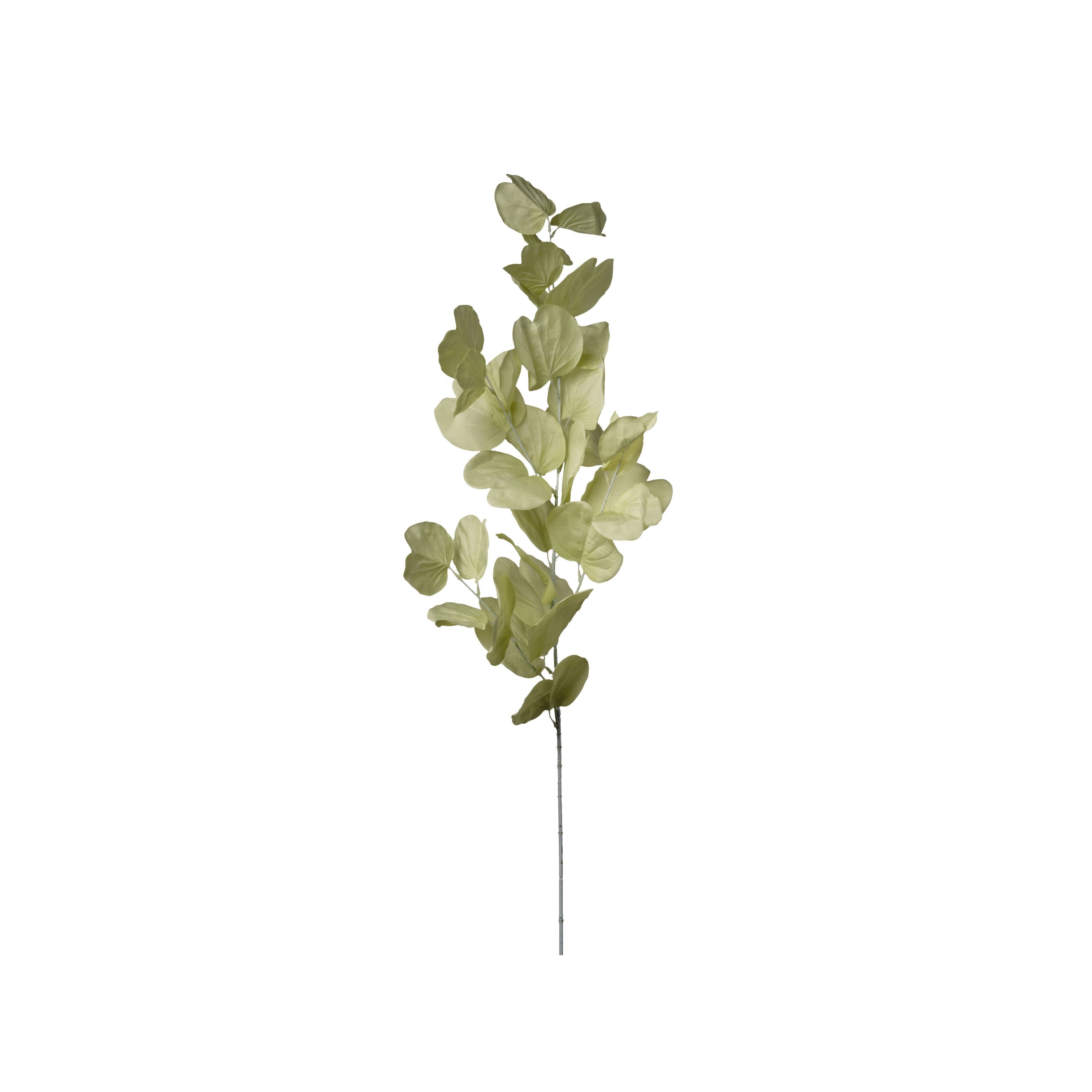 RAMO EUCALIPTUS LIGHT GREEN 120CM