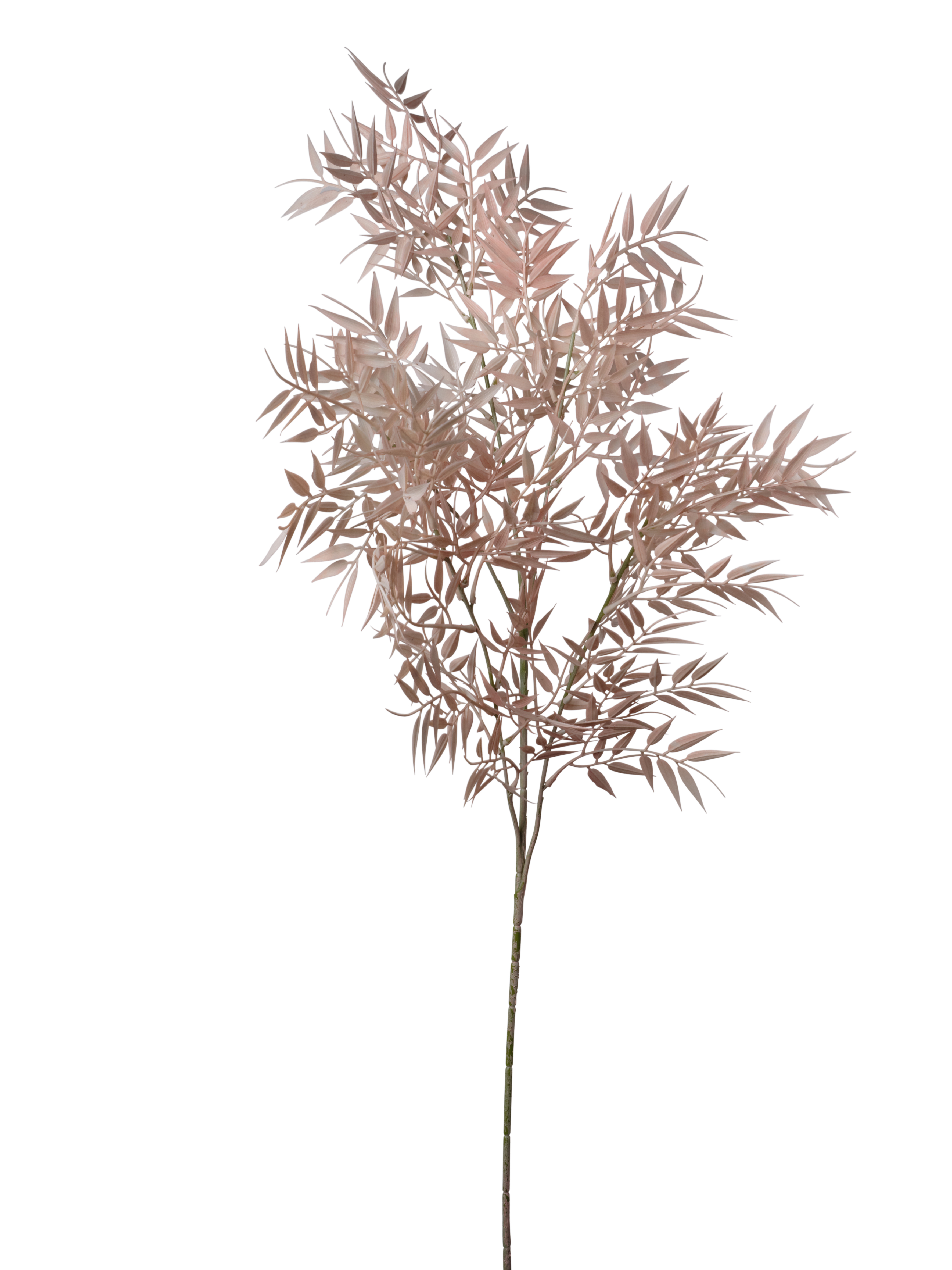 RAMO BAMB� 100CM LIGHT PEACH