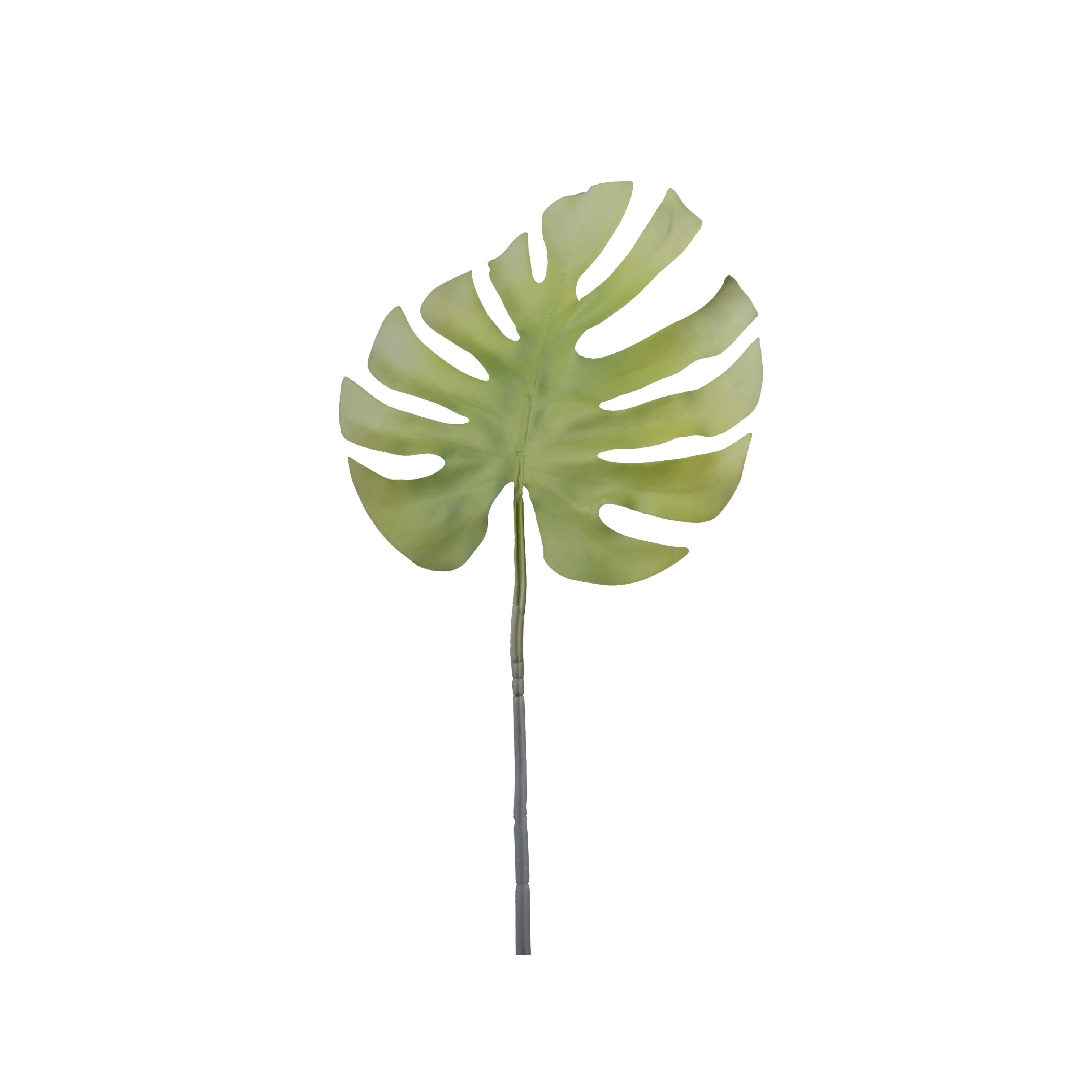 RAMO PHILODENDRO 70CM LIGHT GREEN