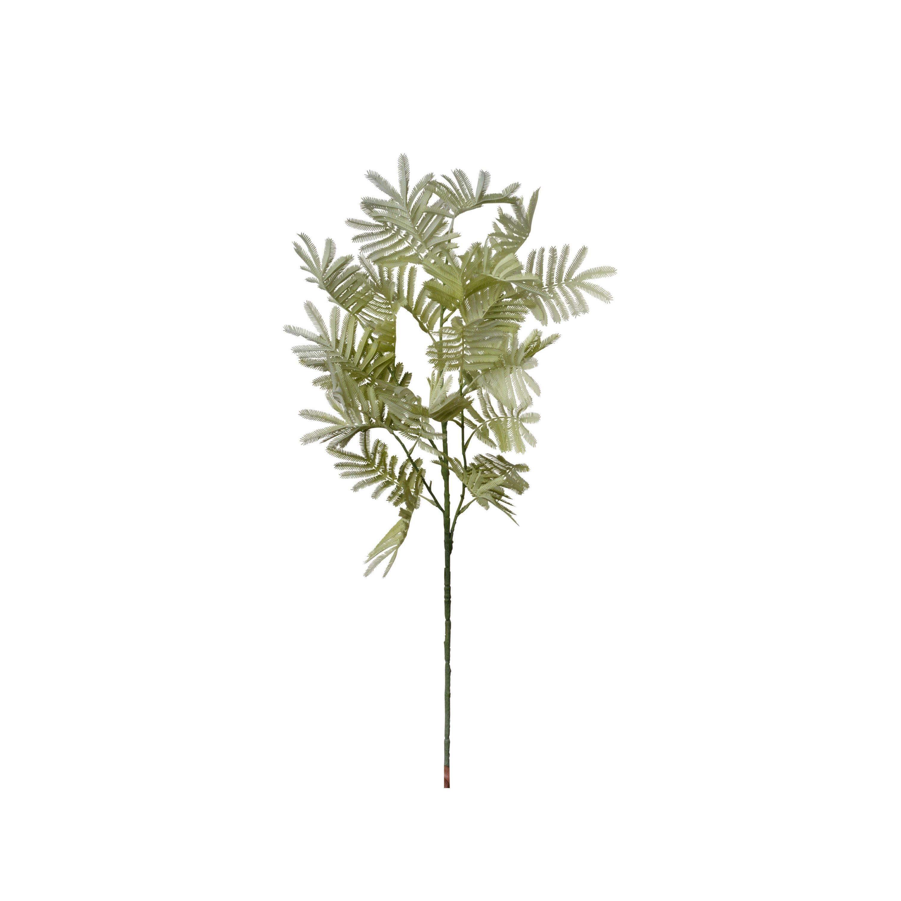 RAMO MIMOSA 95CM LIGHT GREEN
