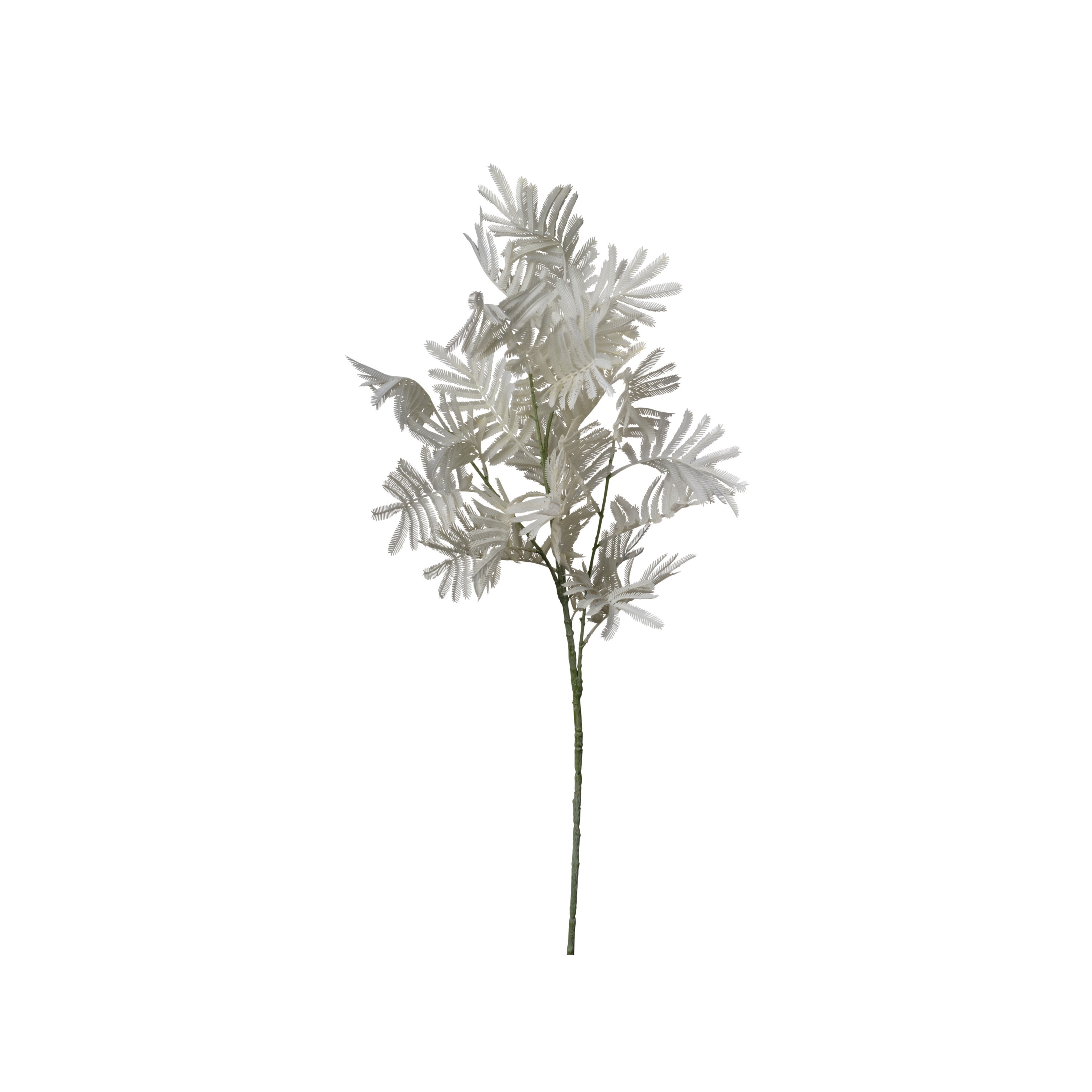 RAMO MIMOSA 95CM LIGHT WHITE