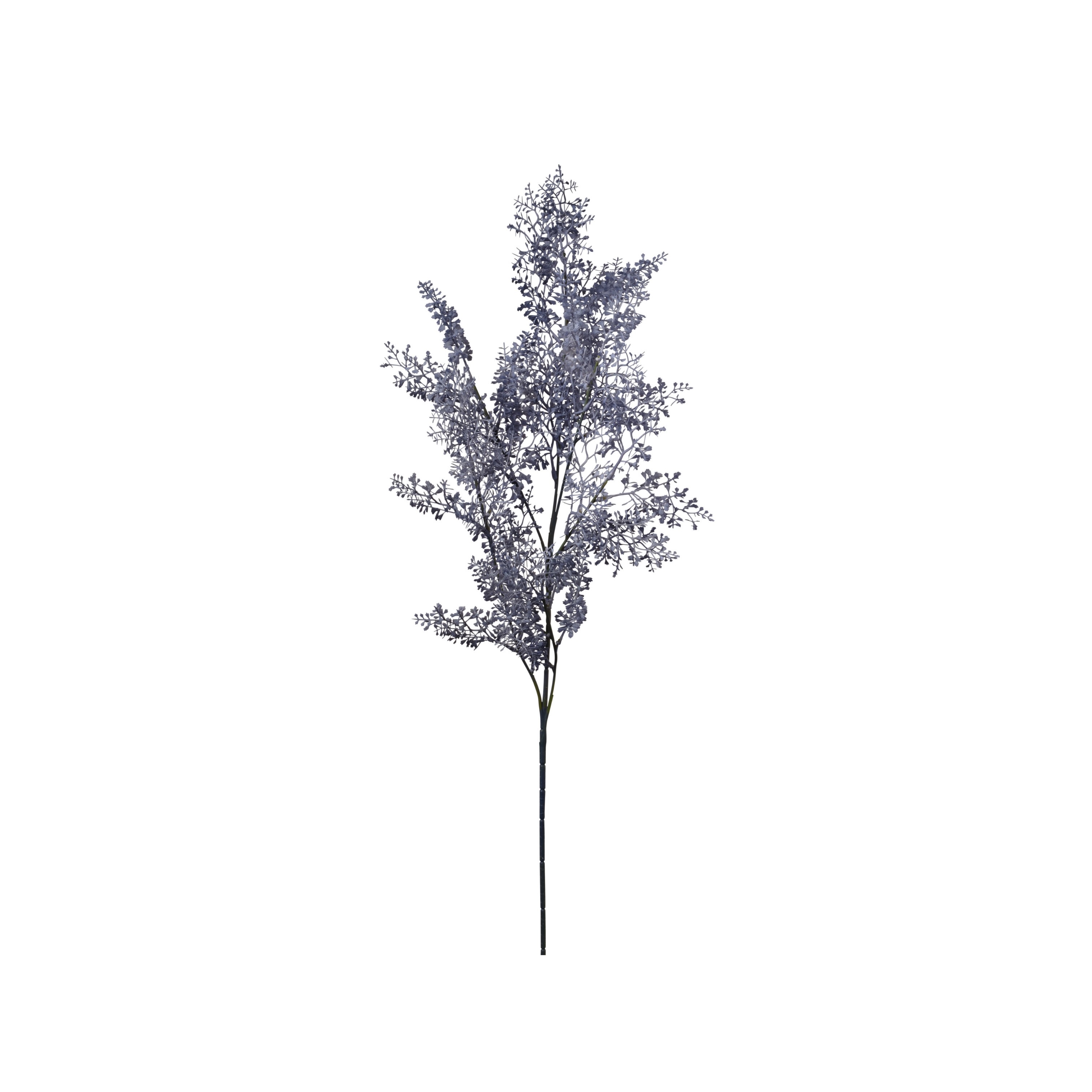 RAMO SPRINGERI 95CM LIGHT BLUE
