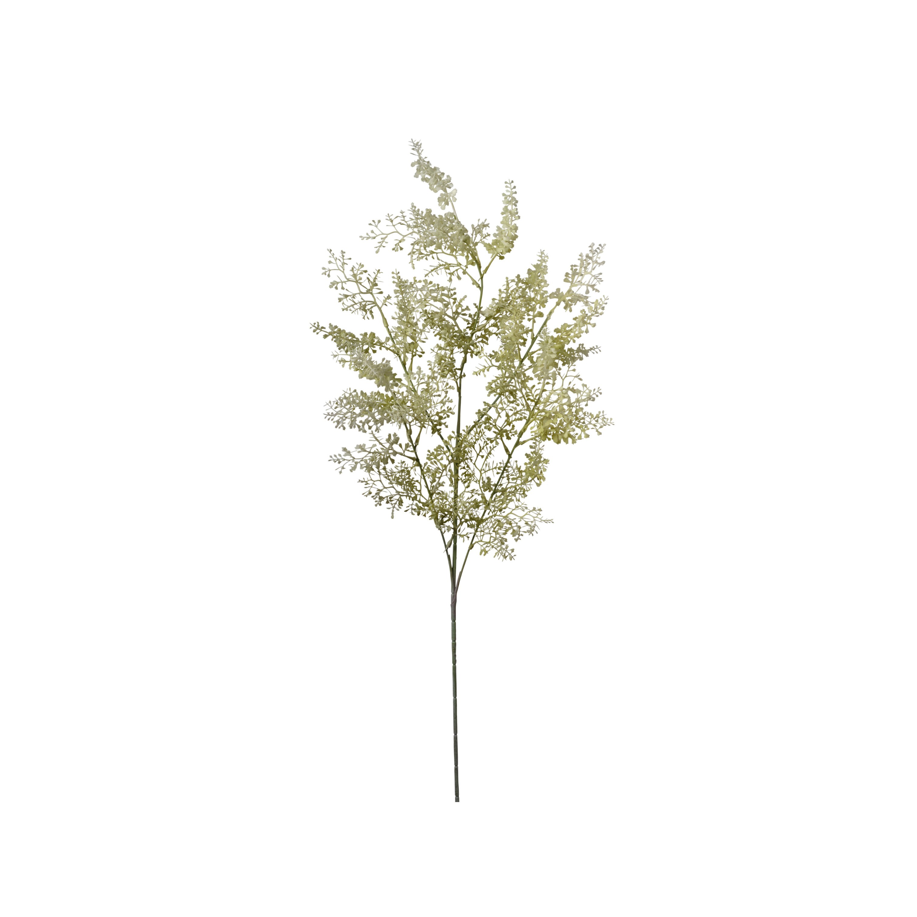 RAMO SPRINGERI 95CM LIGHT GREEN