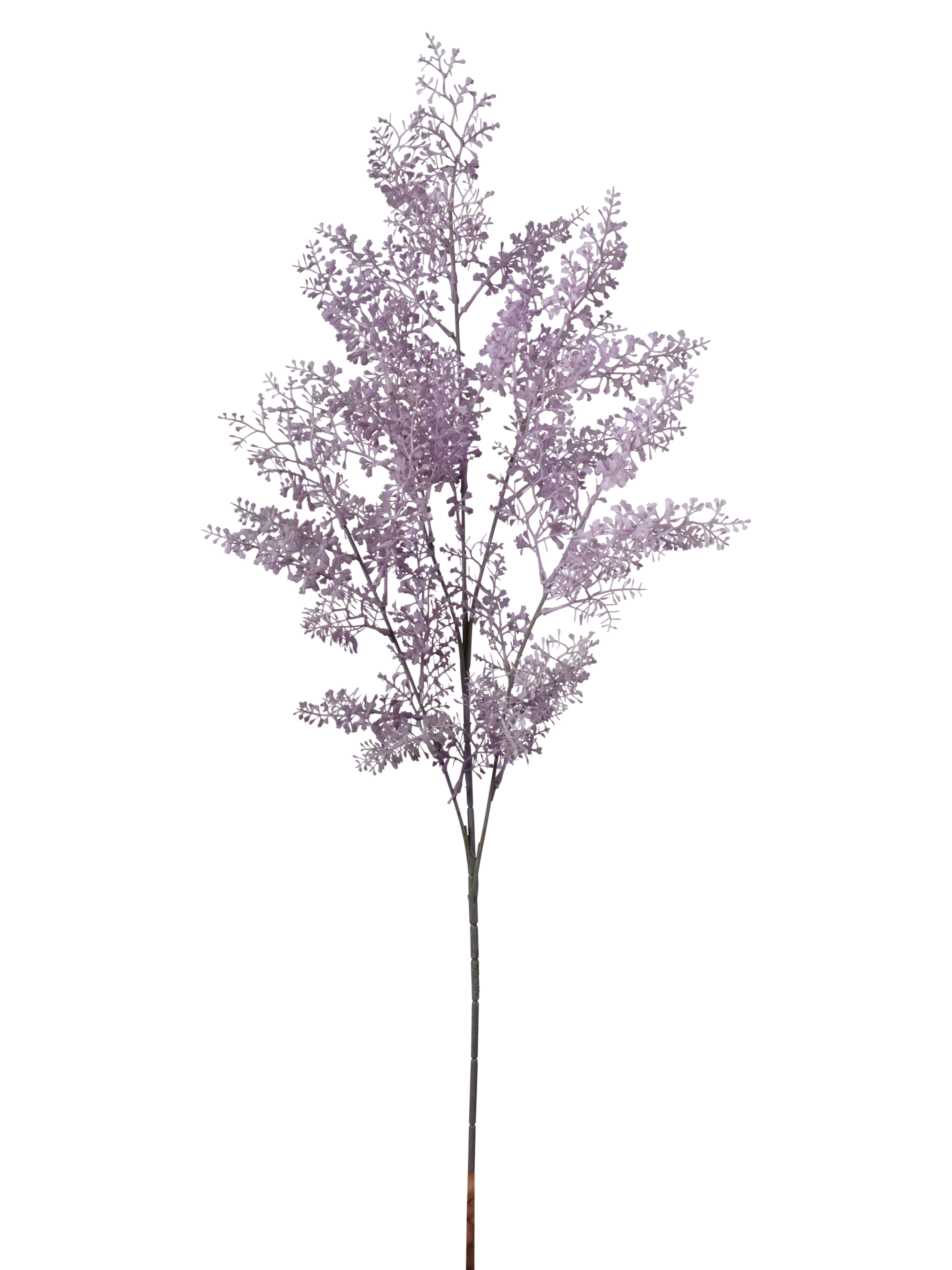 RAMO SPRINGERI 95CM LIGHT LAVANDER