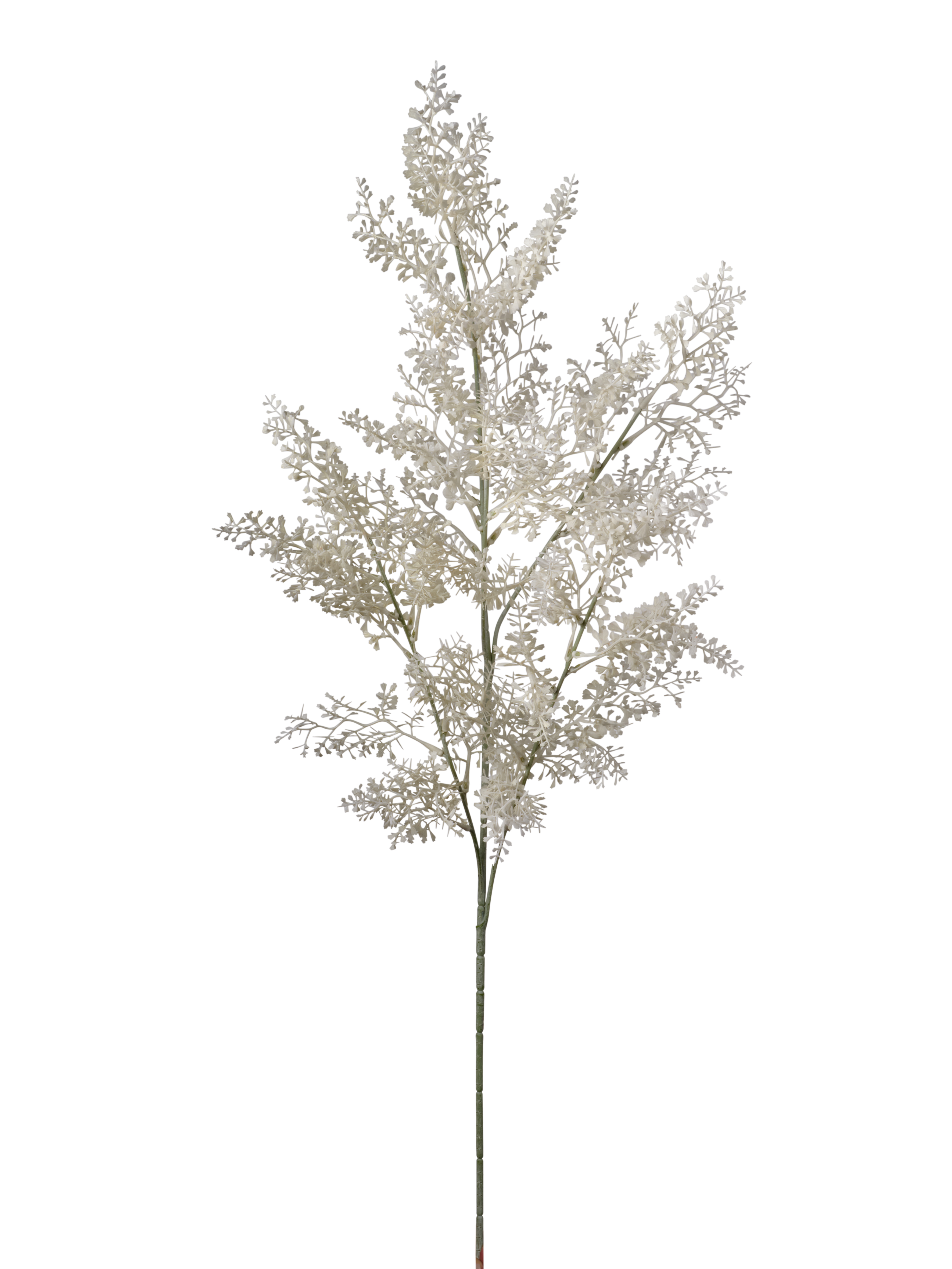 RAMO SPRINGERI 95CM LIGHT WHITE