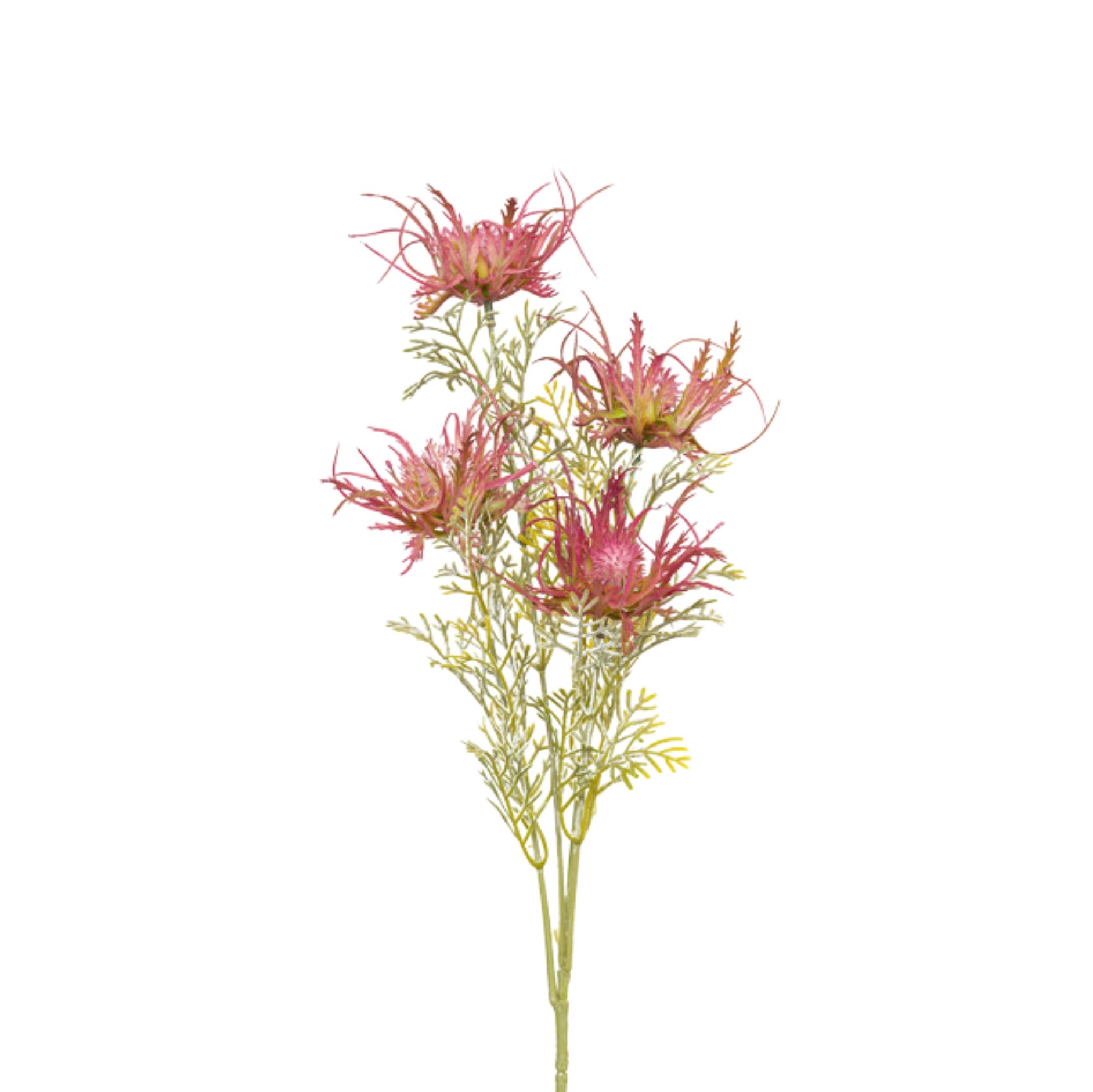 CARLINA SPRAY PURPLE H.60 CM