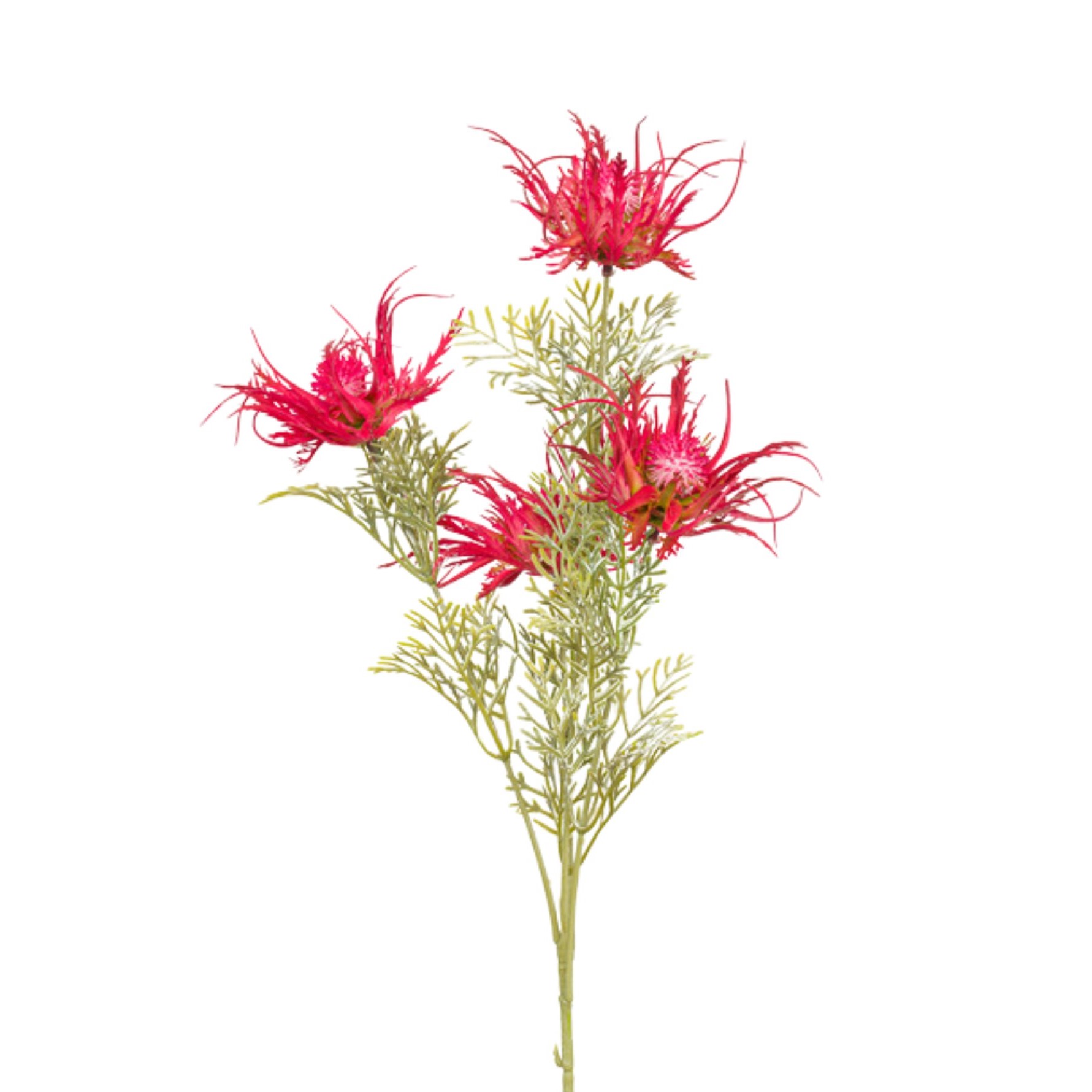 CARLINA SPRAY RED H.60 CM