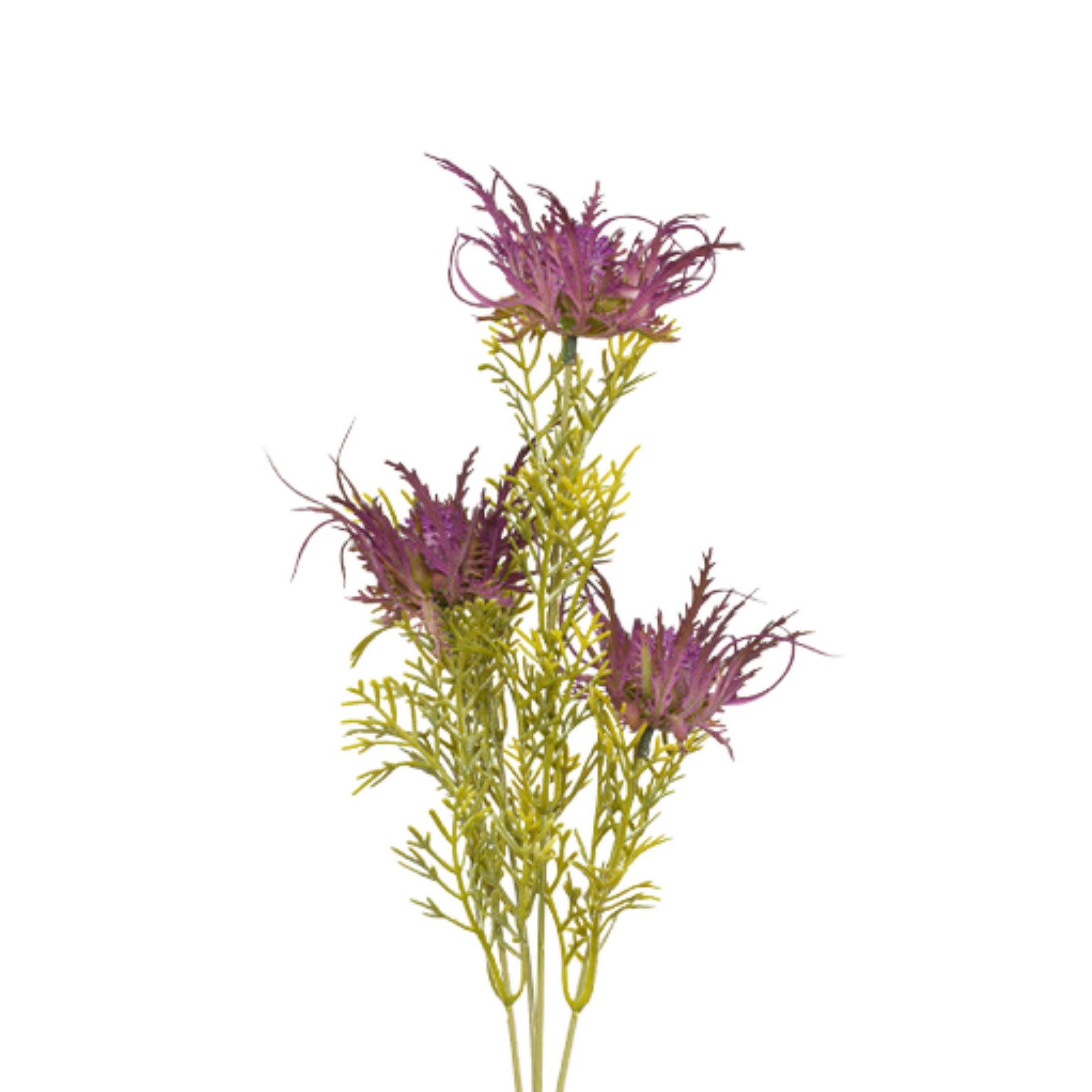 CARLINA SPRAY VIOLET H.60 CM